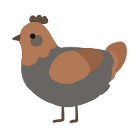 pithou, a grey and brown chicken with a head pattern