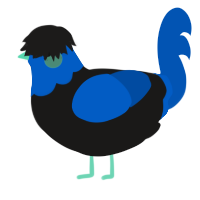 Deep Sea Girl, a sable and ultramarine chicken with a head pattern