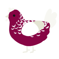 Dark Angel, a maroon and white chicken with a half-lace pattern