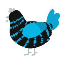 Comedy, a black and cerulean chicken with a bar pattern