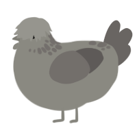 Greybie, a ash and grey chicken with a neck-speckle pattern