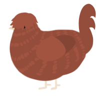 (unnamed), a russet chicken with a bar pattern