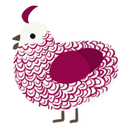 Cabernet, a white and maroon chicken with a double-lace pattern