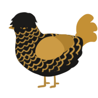 (unnamed), a sable and gold chicken with a lace pattern