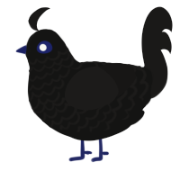 (unnamed), a black and sable chicken with a lace pattern