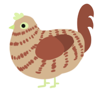 (unnamed), a beige and russet chicken with a bar pattern