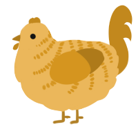 golden honey, a honey and ochre chicken with a half-bar pattern