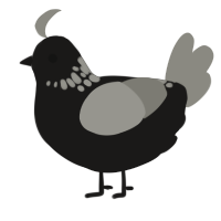 maia x tarmac, a sable and ash chicken with a neck-speckle pattern