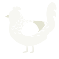 (unnamed), a white chicken with a half-lace pattern