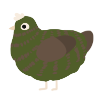 (unnamed), a olive and bark chicken with a bar pattern