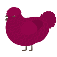 XXY Maroon, a maroon chicken with a lace pattern