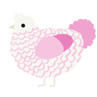 cotton, a white and pink chicken with a lace pattern