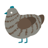 (unnamed), a ash and bark chicken with a bar pattern