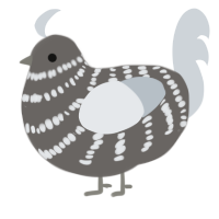 A grey and mist chicken with a bar pattern