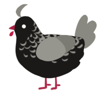 (unnamed), a sable and ash chicken with a half-lace pattern