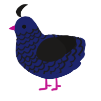 Midnight Barber, a navy and sable chicken with a lace pattern