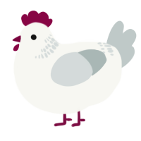 (unnamed), a white and silver chicken with a neck-band pattern