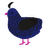 Midnight, a navy and sable chicken with a lace pattern