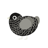 (unnamed), a sable and ash chicken with a lace pattern