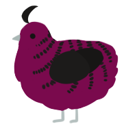 (unnamed), a wine and sable chicken with a half-bar pattern