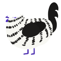 (unnamed), a white and sable chicken with a bar pattern