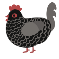 (unnamed), a black and grey chicken with a lace pattern