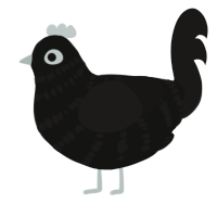 (unnamed), a black and sable chicken with a bar pattern