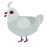 Fear Chicken, a silver chicken with a head pattern