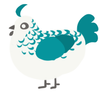 Muab, a white and teal chicken with a half-lace pattern