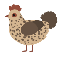 Caramel Choc Chip, a beige and bark chicken with a speckle pattern