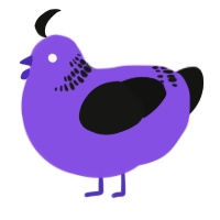 (unnamed), a blurple and black chicken with a neck-band pattern