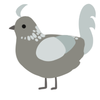 (unnamed), a ash and silver chicken with a neck-speckle pattern