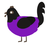 Twilight, a violet and sable chicken with a head pattern