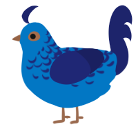 (unnamed), a sapphire and navy chicken with a half-lace pattern