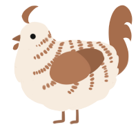 Flat white, a cream and brown chicken with a half-bar pattern