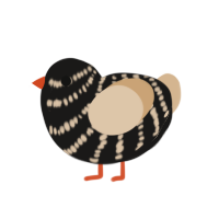 Quail, a sable and beige chicken with a bar pattern