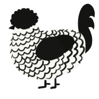 (unnamed), a white and black chicken with a lace pattern