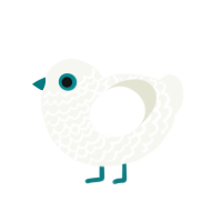 Tiff, a white chicken with a lace pattern