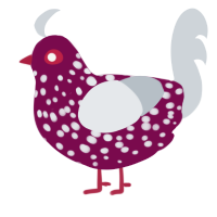 i keep getting this, a wine and mist chicken with a speckle pattern