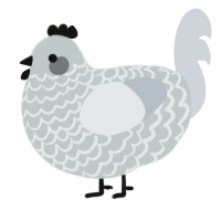 A silver and mist chicken with a lace pattern