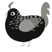 A black and ash chicken with a half-lace pattern
