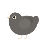 Rock, a grey chicken