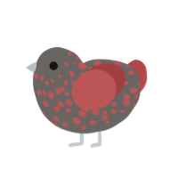 Stranjore, a grey and red chicken with a head pattern