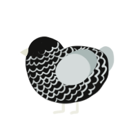 Progeny, a black and silver chicken with a lace pattern