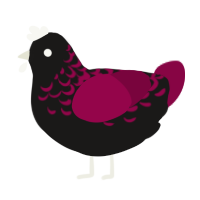 Stubborn, a sable and maroon chicken with a half-lace pattern