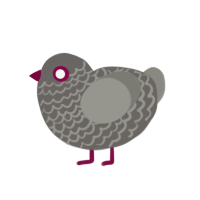 Pigeon4, a grey and ash chicken with a lace pattern