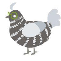 Pigeon, a grey and mist chicken with a bar pattern