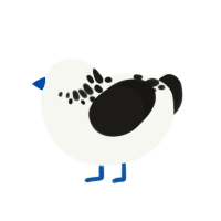 Waxing Gibbous, a white and sable chicken with a neck-speckle pattern