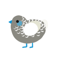 blu, a ash and white chicken with a half-lace pattern