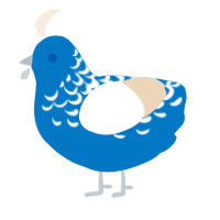 Ortus, a sapphire and cream chicken with a half-lace pattern